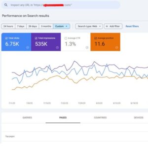website visitor portfolio